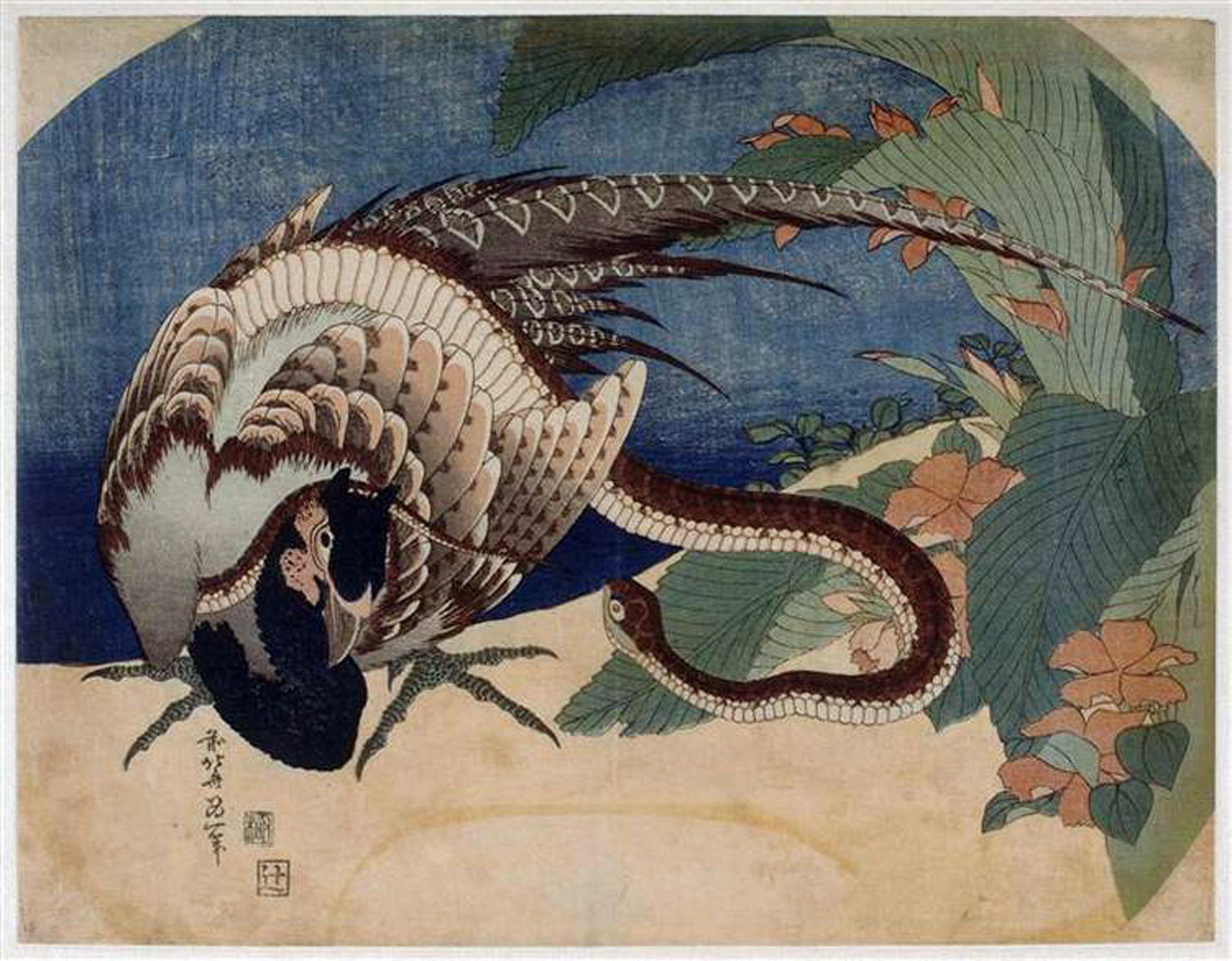 Hokusai - Pheasant and Snake - Fan Prints