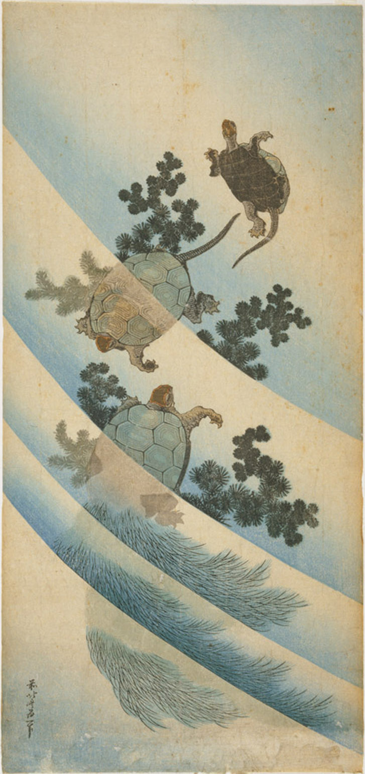 Hokusai - Three Turtles in Water - Large Images of Nature