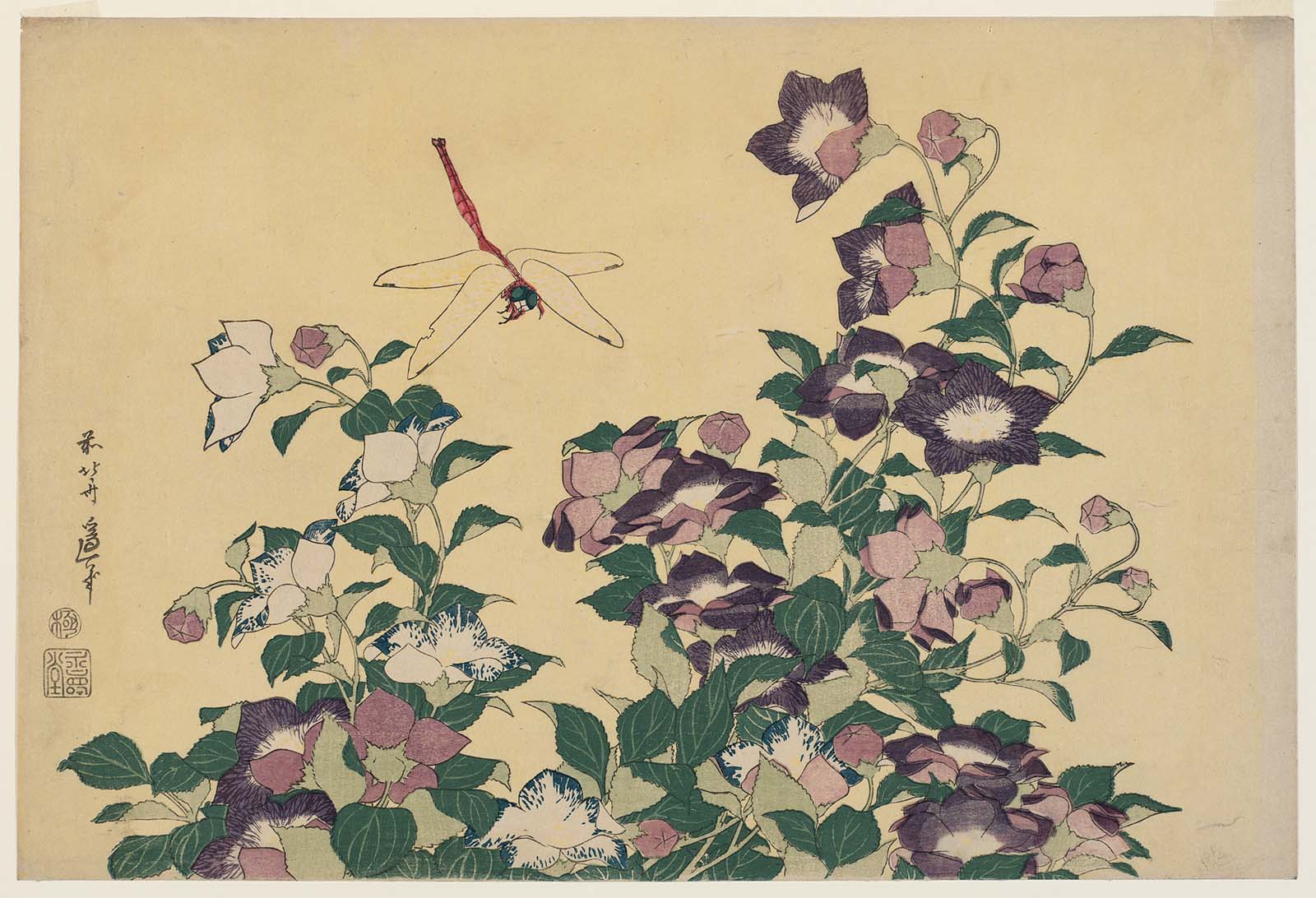 Hokusai - Bellflower and Dragonfly - Large Flowers