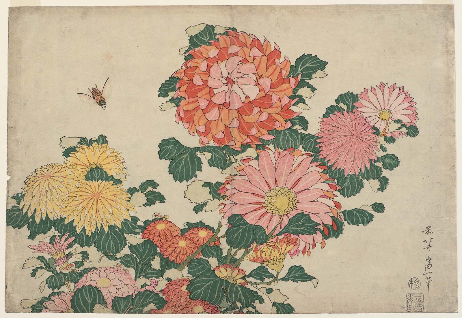Hokusai - Chrisanthemums and Horsefly - Large Flowers