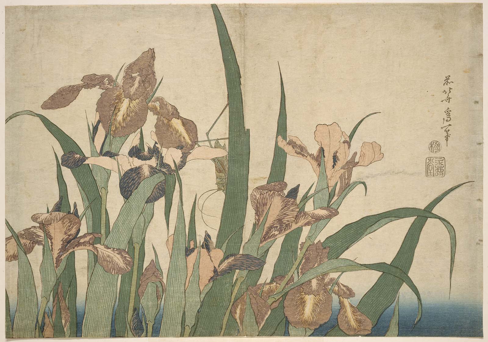 Hokusai - Irises and Grasshoppers - Large Flowers