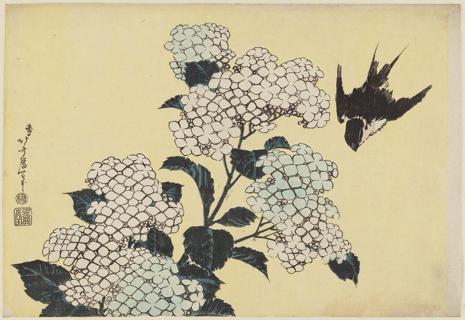 Hokusai - Hydrangeas and Swallow - Large Flowers