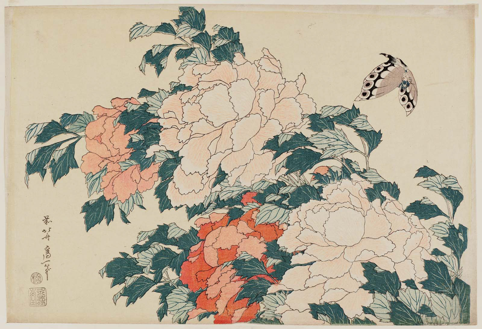 Hokusai - Peonies and Butterfly - Large Flowers