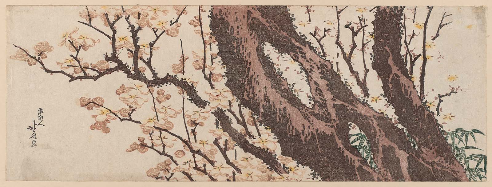 Hokusai - Plum Tree and Bamboo Grass - Long Surimono