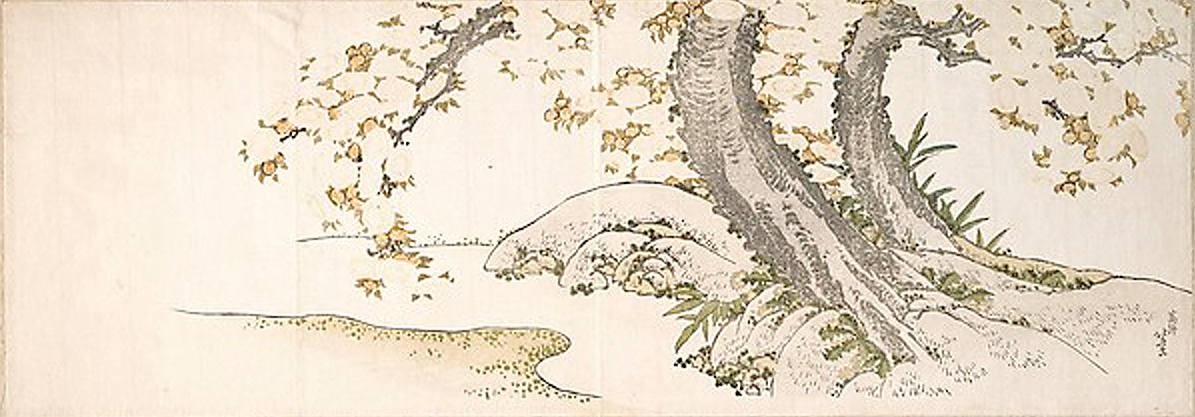 Hokusai - Blossoming Cherry Trees by a Stream - Long Surimono