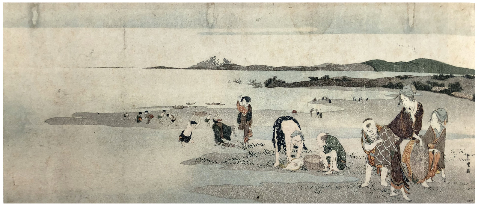Hokusai - Gathering Shellfish at Low Tide - Long Surimono