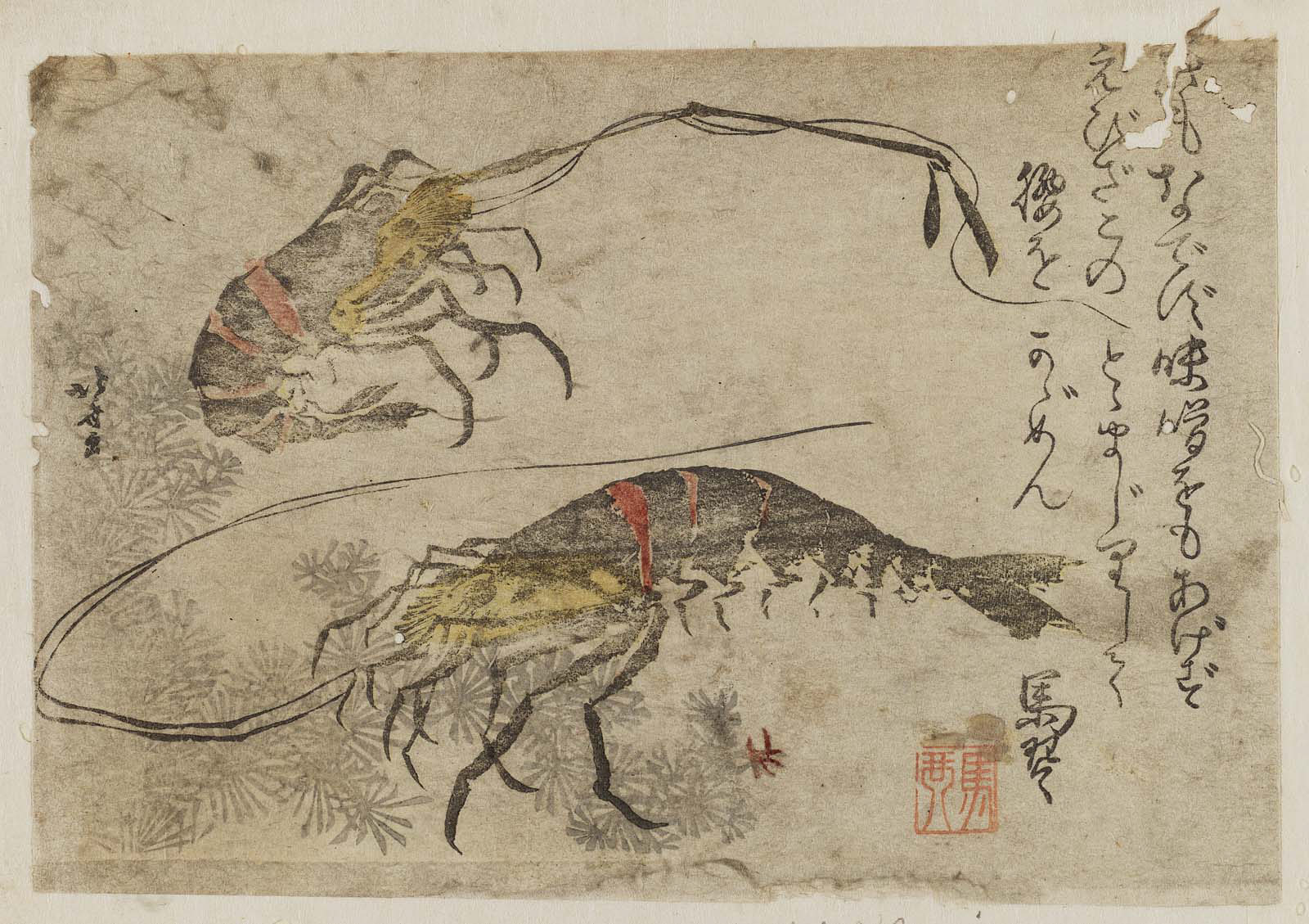 Hokusai - Shrimp and Seaweed - Surimono's