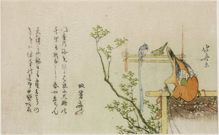 Hokusai - Kachoka Parrots on Branch - Surimono's