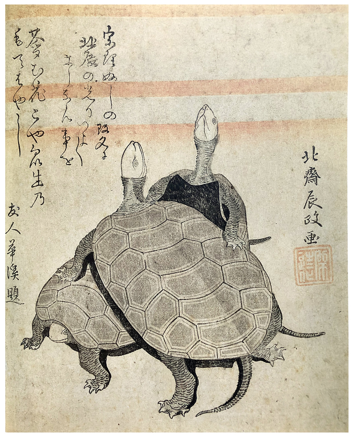 Hokusai - Two Tortoises - Surimono's