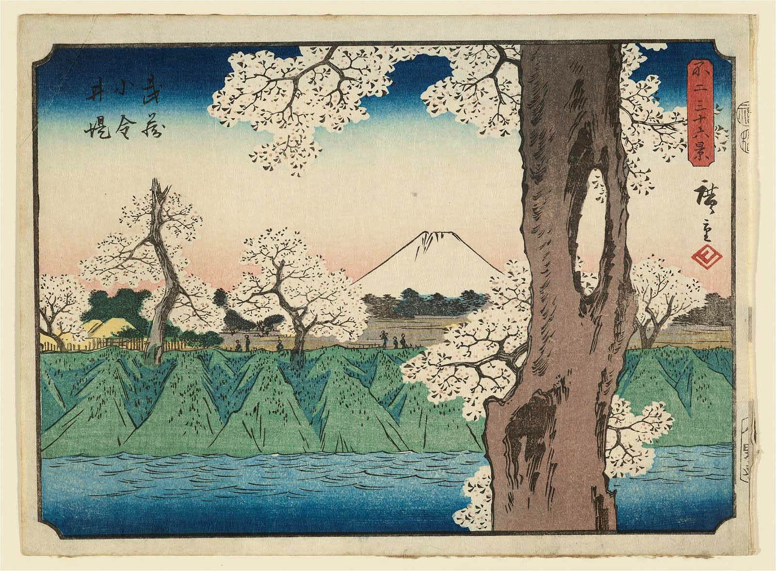 Hiroshiges - The Embankment at Koganei in Musashi Province (Musashi Koganei tsutsumi) - Thirty Six Views of Mt. Fuji (1852 edition published by Sanoki)