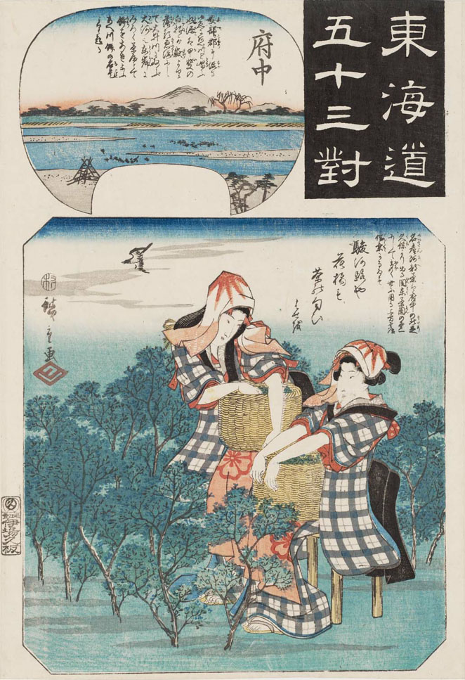 Hiroshiges - Hiroshige 20 Fuchū: Women Picking Tea Leaves - Pairings Tokaido