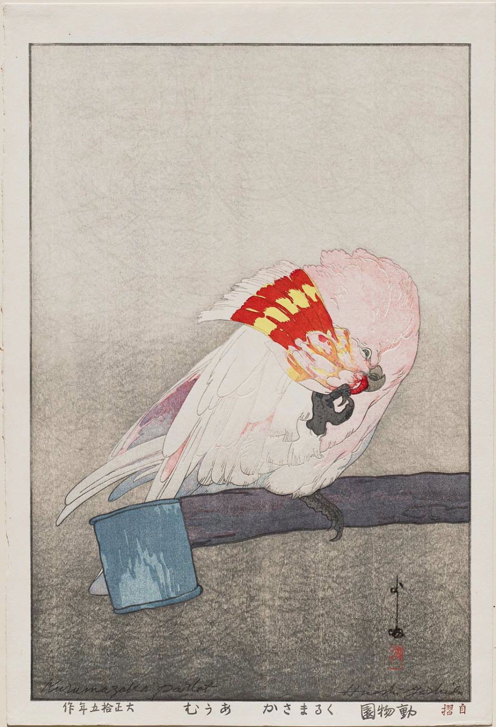 Hiroshi Yoshida - Kurumazaka Parrot (Kurumazaka ômu), from the series Zoo (Dôbutsuen)