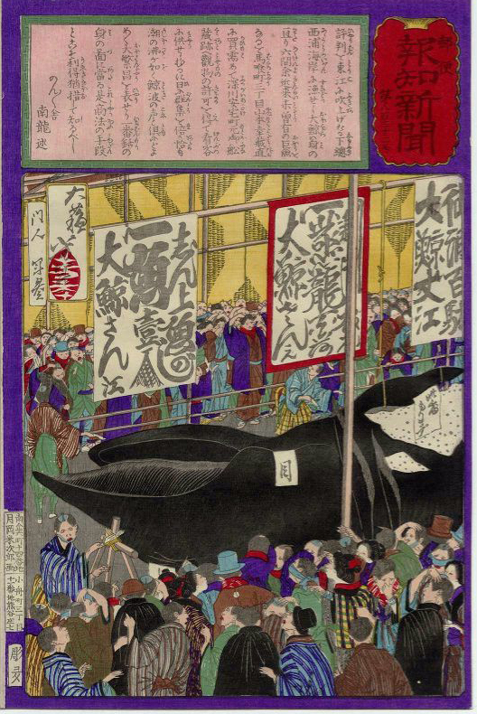 Yoshitoshi - No. 832 Large crowds thronging to see the whale exhibited at Fukagawa. - Postal News