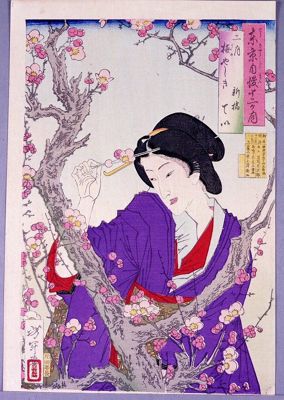 Yoshitoshi - Tei of Shimbashi by plum tree at Umeyashiki. - Pride of Tokyo's Twelve Months