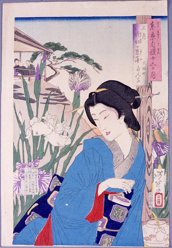 Yoshitoshi - Tanko of Osakamachi in iris garden at Horikiri. - Pride of Tokyo's Twelve Months