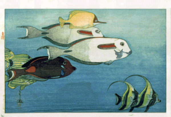 Hiroshi Yoshida - The Honolulu Aquarium