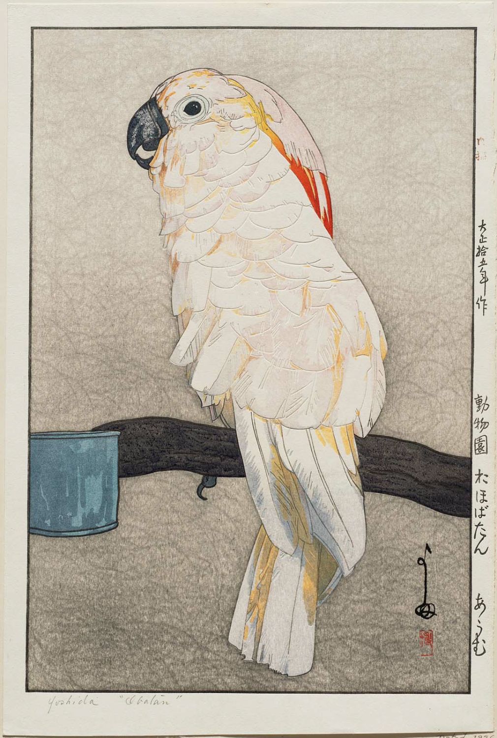 Hiroshi Yoshida - Ôbatan Parrot (Ôbatan ômu), from the series Zoo (Dôbutsuen)