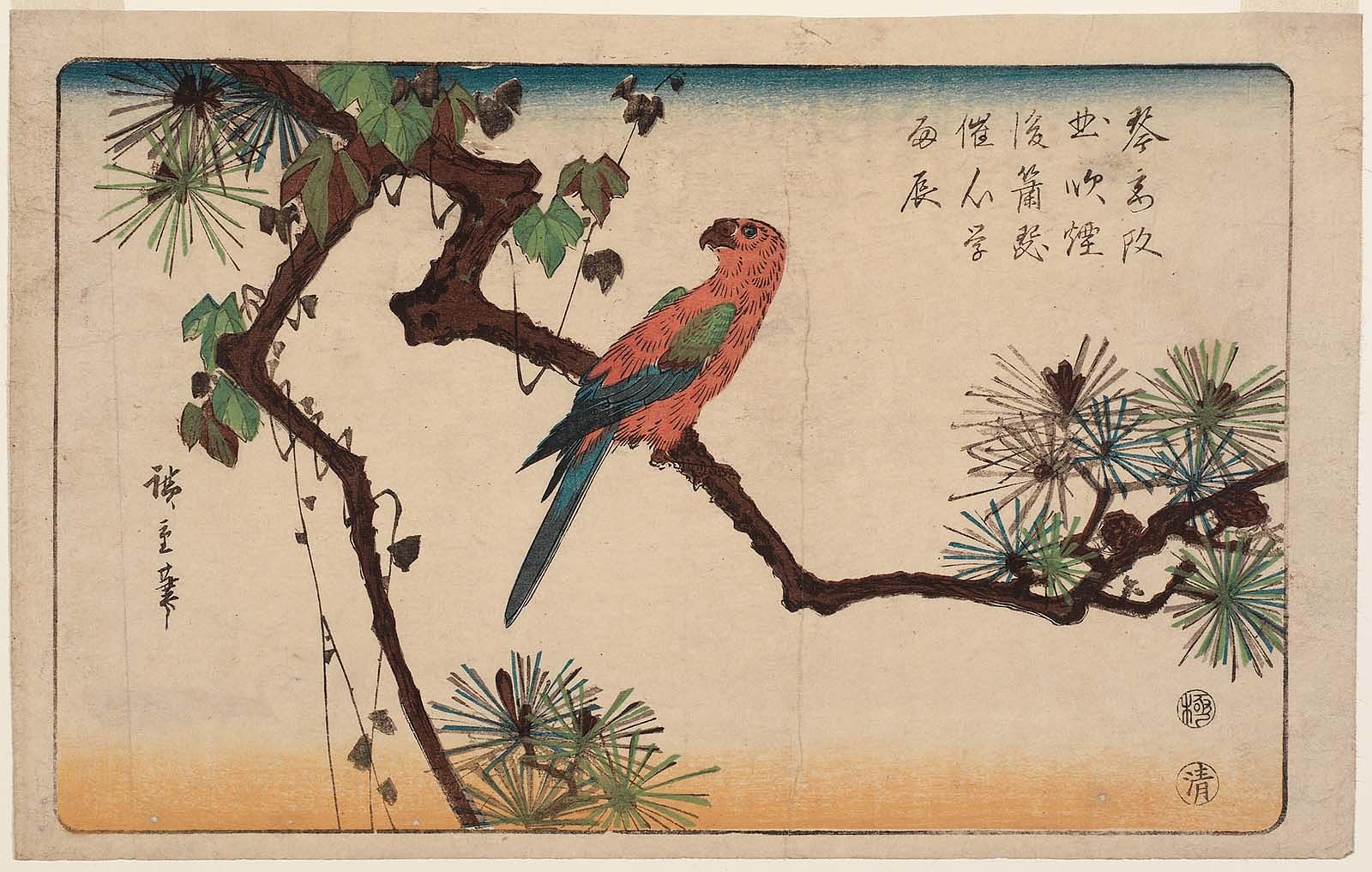 Hiroshiges - Macaw on Pine Branch - Aiban Format