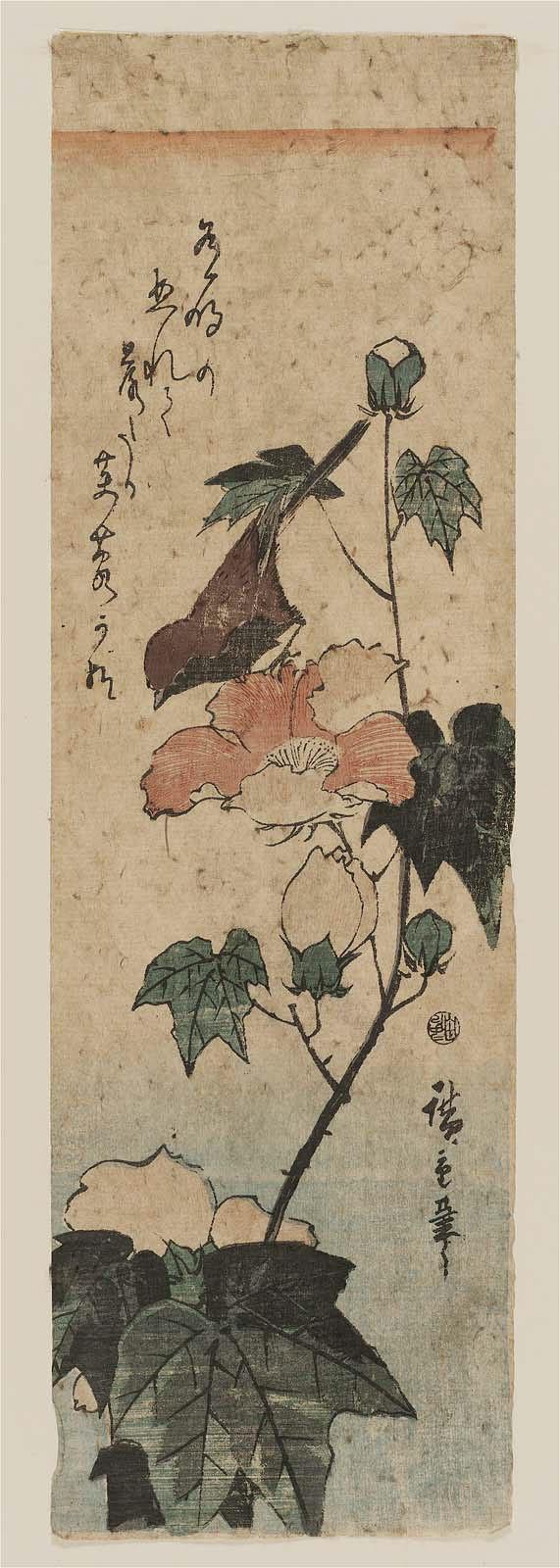 Hiroshiges - Bird on Hibiscus - Chū-tanzaku Format