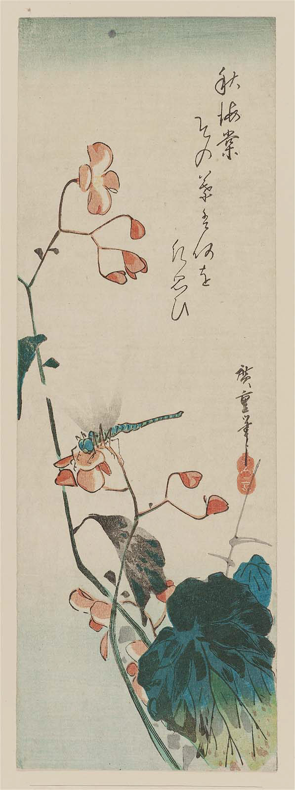 Hiroshiges - Dragonfly and Begonia - Chū-tanzaku Format