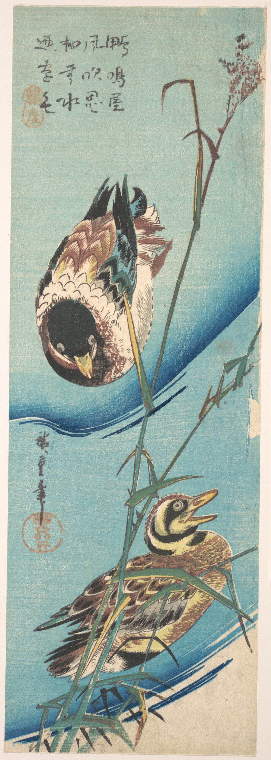 Hiroshiges - Ducks and Reeds - Chū-tanzaku Format