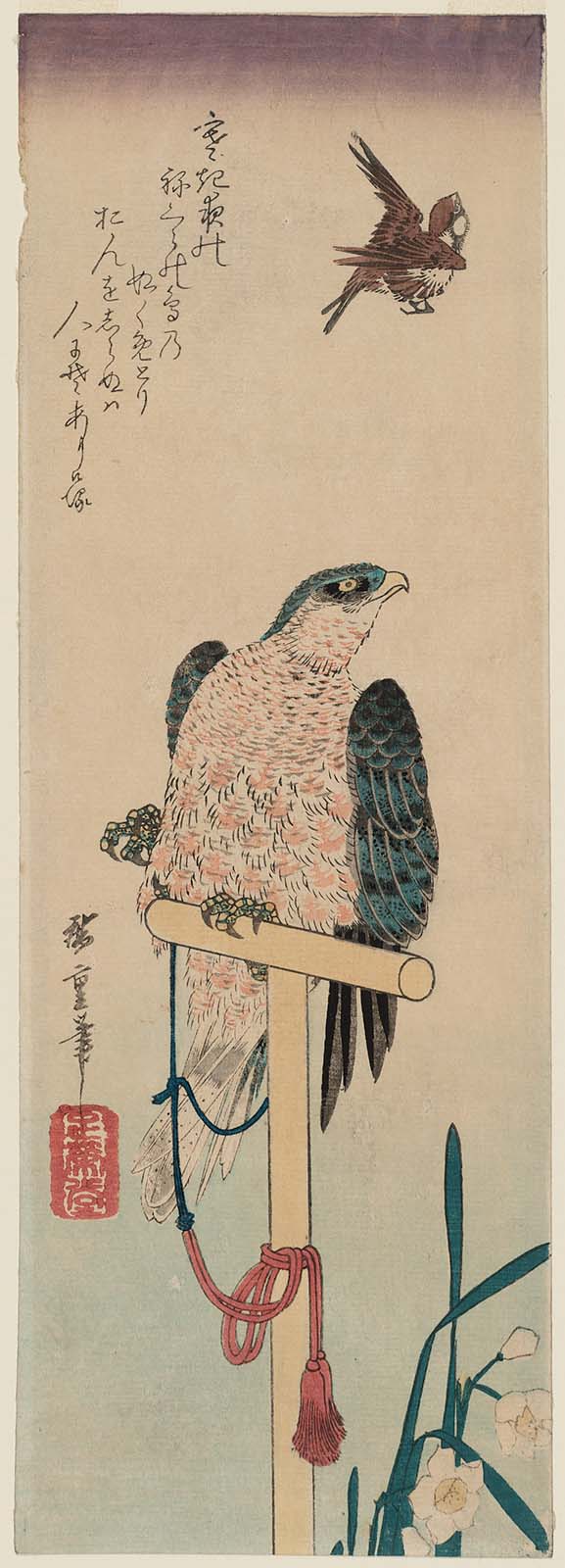 Hiroshiges - Falcon on Perch, Sparrow, and Narcissus - Chū-tanzaku Format