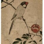 Hiroshiges - Finch on Camellia Branch - Chū-tanzaku Format