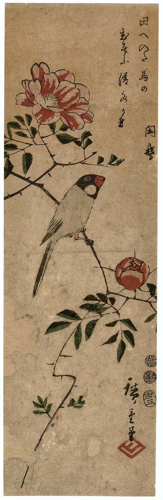 Hiroshiges - Finch on Camellia Branch - Chū-tanzaku Format