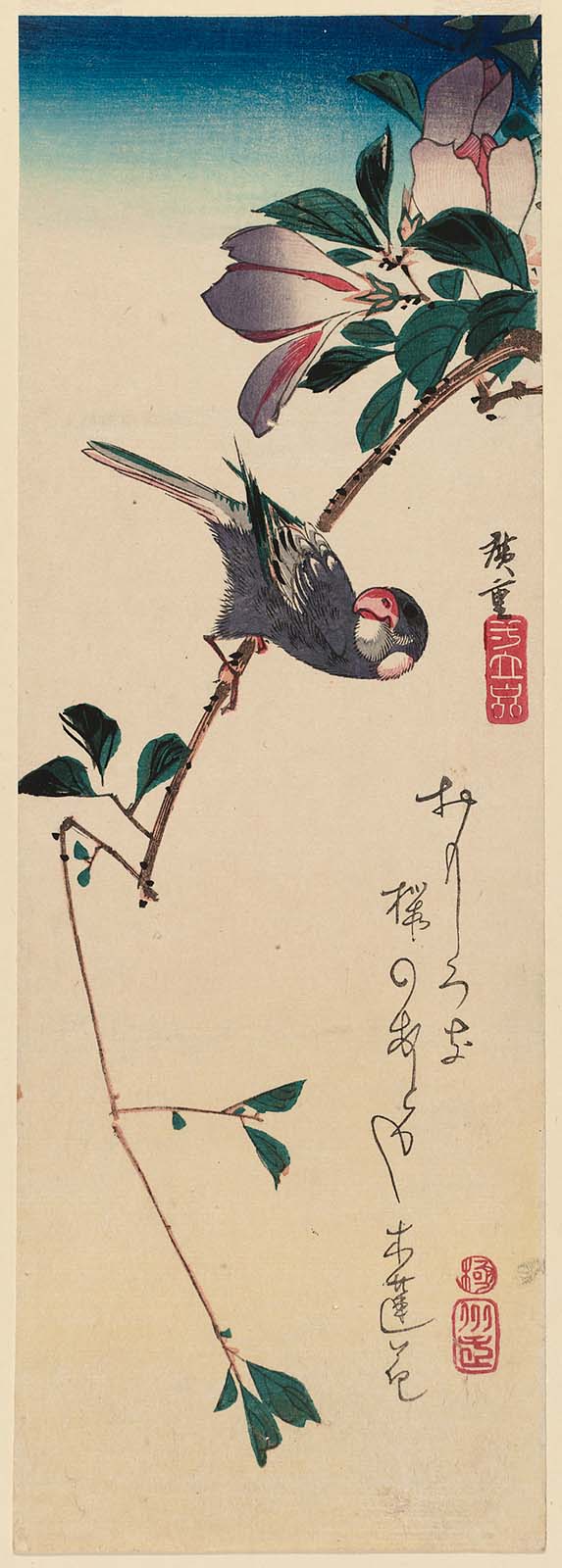 Hiroshiges - Finch on Magnolia Branch - Chū-tanzaku Format