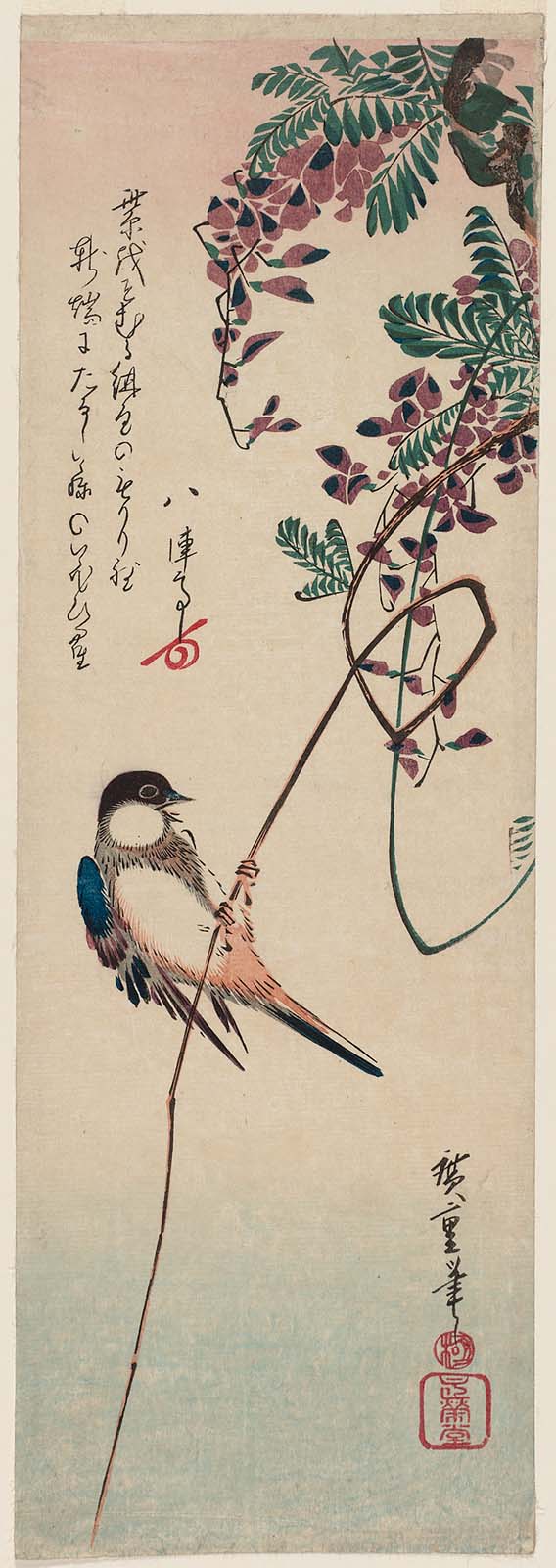 Hiroshiges - Finch on Wisteria Vine - Chū-tanzaku Format