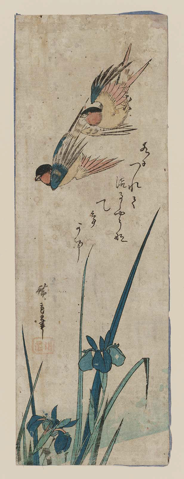 Hiroshiges - Flying Swallows and Iris - Chū-tanzaku Format