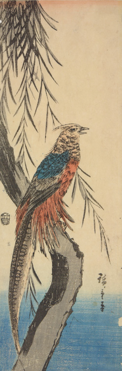 Hiroshiges - Golden Pheasant in Willow Tree - Chū-tanzaku Format