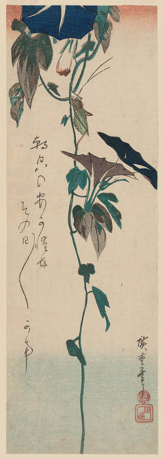 Hiroshiges - Grasshopper and Morning Glories - Chū-tanzaku Format