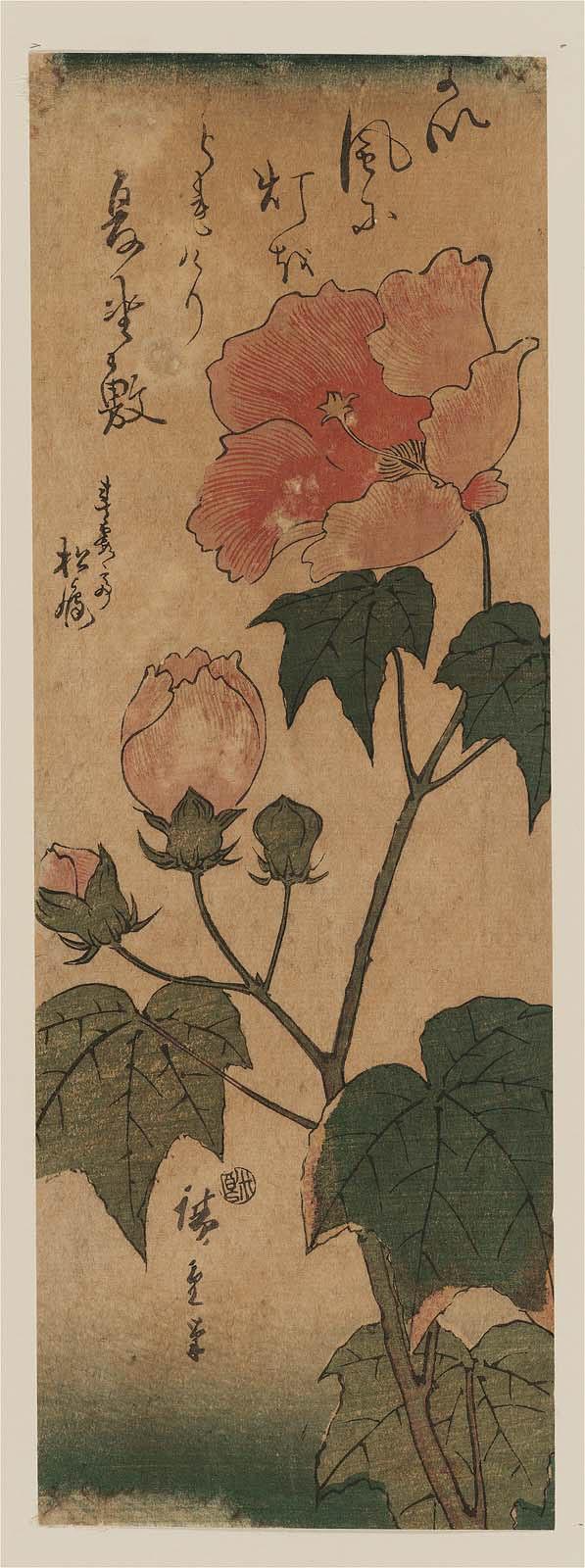 Hiroshiges - Hibiscus - Chū-tanzaku Format