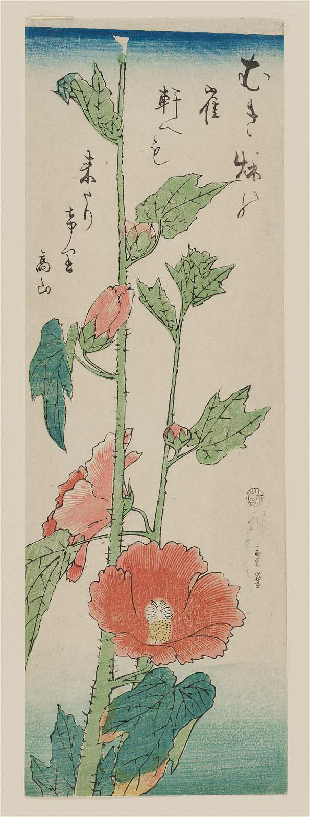 Hiroshiges - Hibiscus - Chū-tanzaku Format