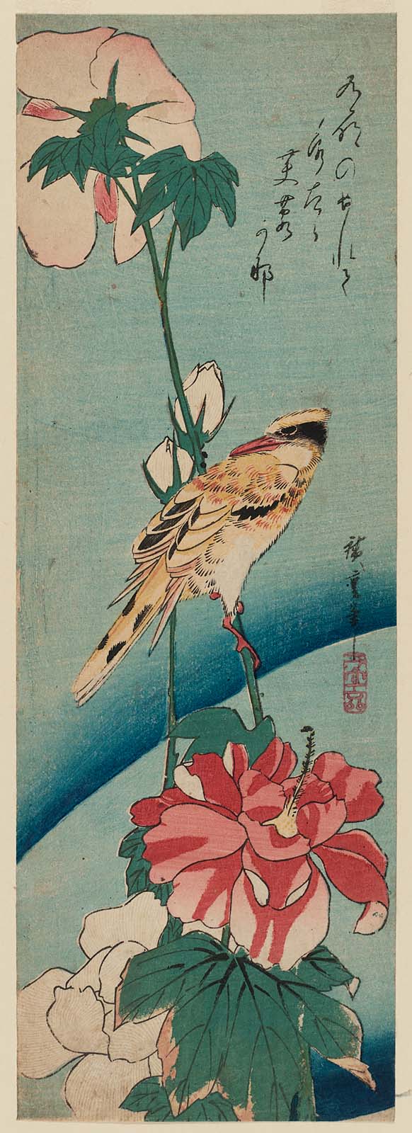 Hiroshiges - Hibiscus and Black-naped Oriole - Chū-tanzaku Format