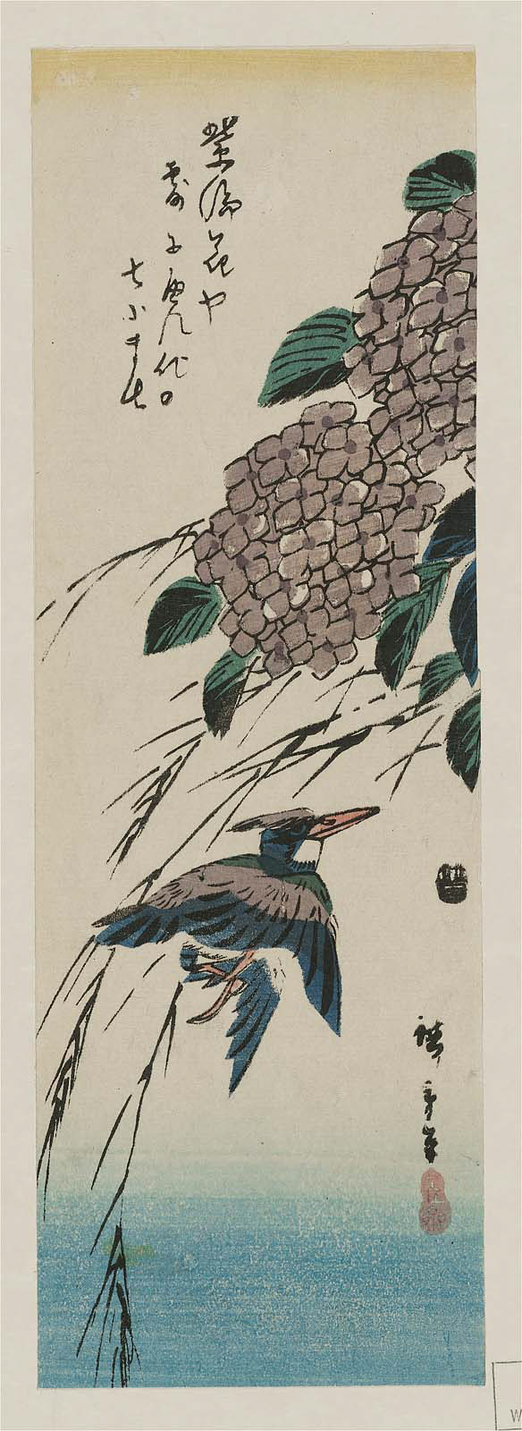 Hiroshiges - Kingfisher and Hydrangea - Chū-tanzaku Format