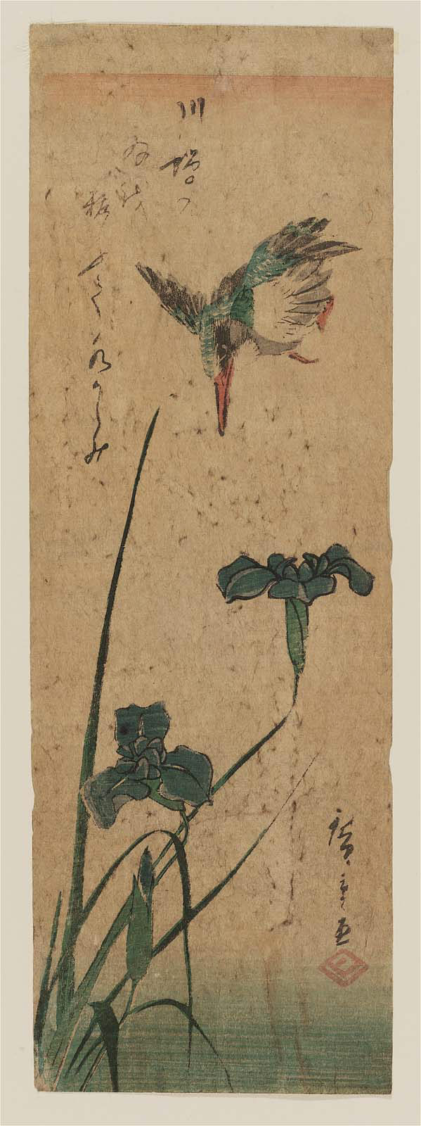 Hiroshiges - Kingfisher and Iris - Chū-tanzaku Format