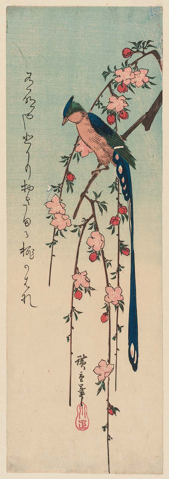 Hiroshiges - Long-tailed Bird on Blossoming Peach - Chū-tanzaku Format