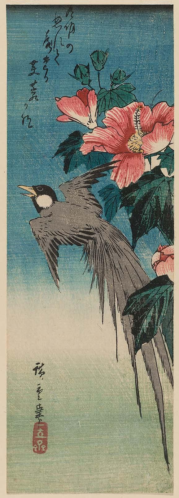 Hiroshiges - Long-tailed Bird and Hibiscus - Chū-tanzaku Format