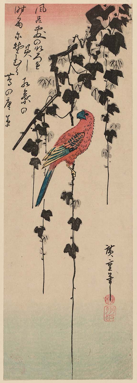 Hiroshiges - Macaw on Ivy Vine - Chū-tanzaku Format