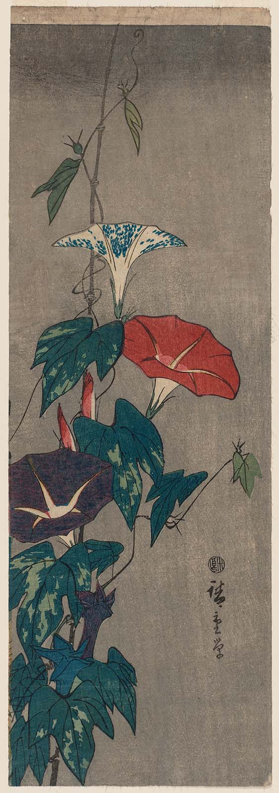 Hiroshiges - Morning Glories - Chū-tanzaku Format