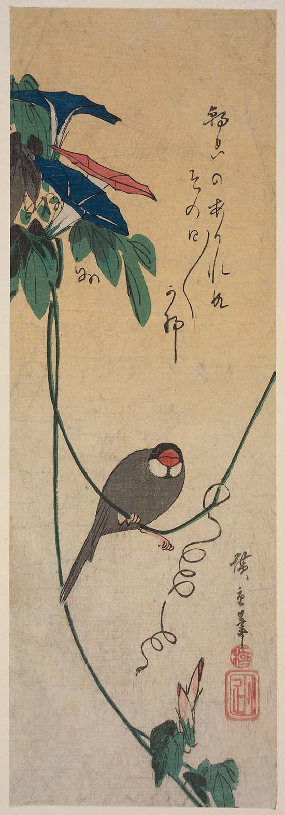 Hiroshiges - Morning Glories and Finch - Chū-tanzaku Format