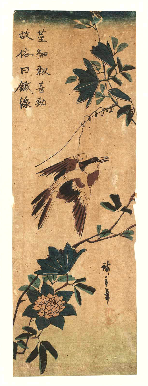 Hiroshiges - Oriole and Clematis - Chū-tanzaku Format