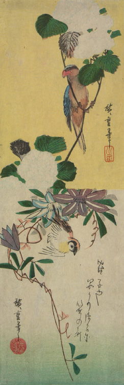 Hiroshiges - Parrot and Hydrangeas, Sparrow and Clematis - Chū-tanzaku Format