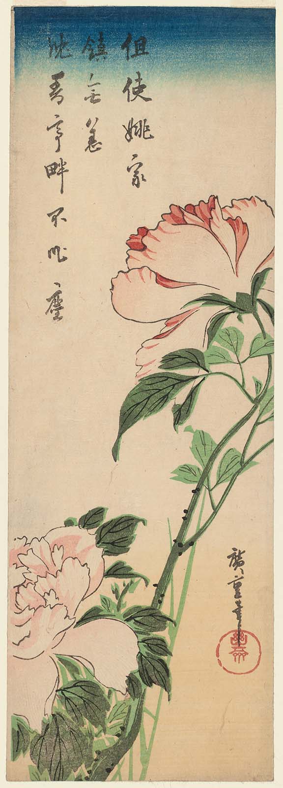 Hiroshiges - Peonies - Chū-tanzaku Format