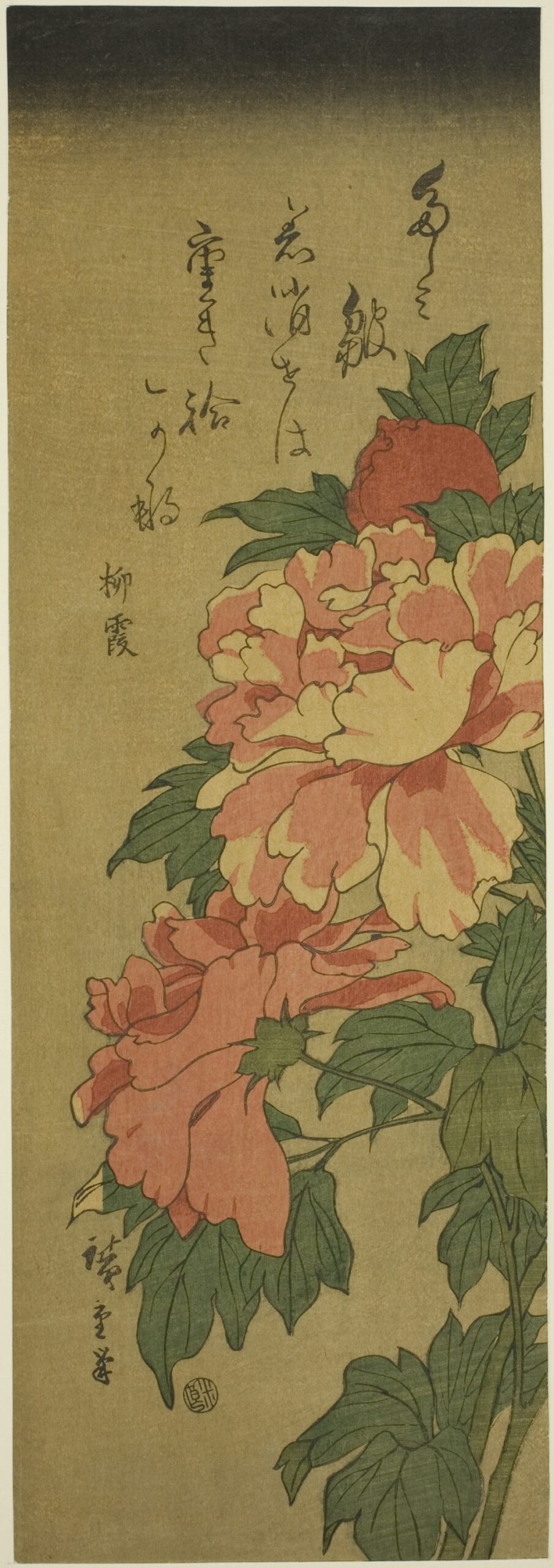 Hiroshiges - Peonies - Chū-tanzaku Format