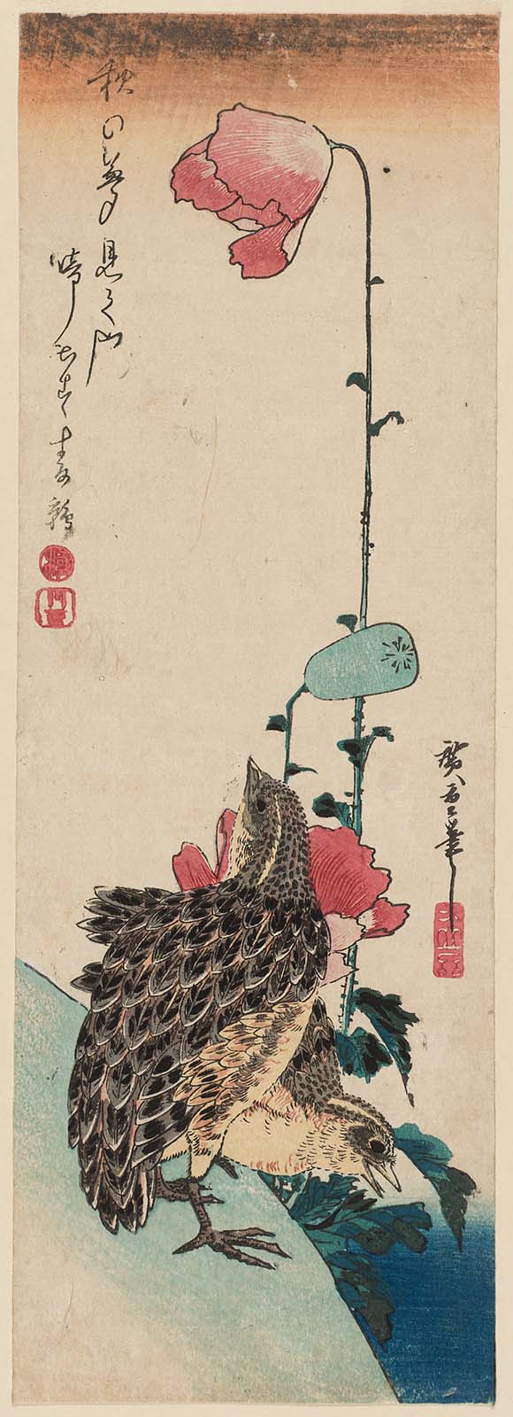 Hiroshiges - Quail and Poppies - Chū-tanzaku Format