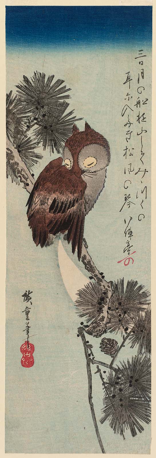 Hiroshiges - Small Horned Owl in a Pine Tree - Chū-tanzaku Format