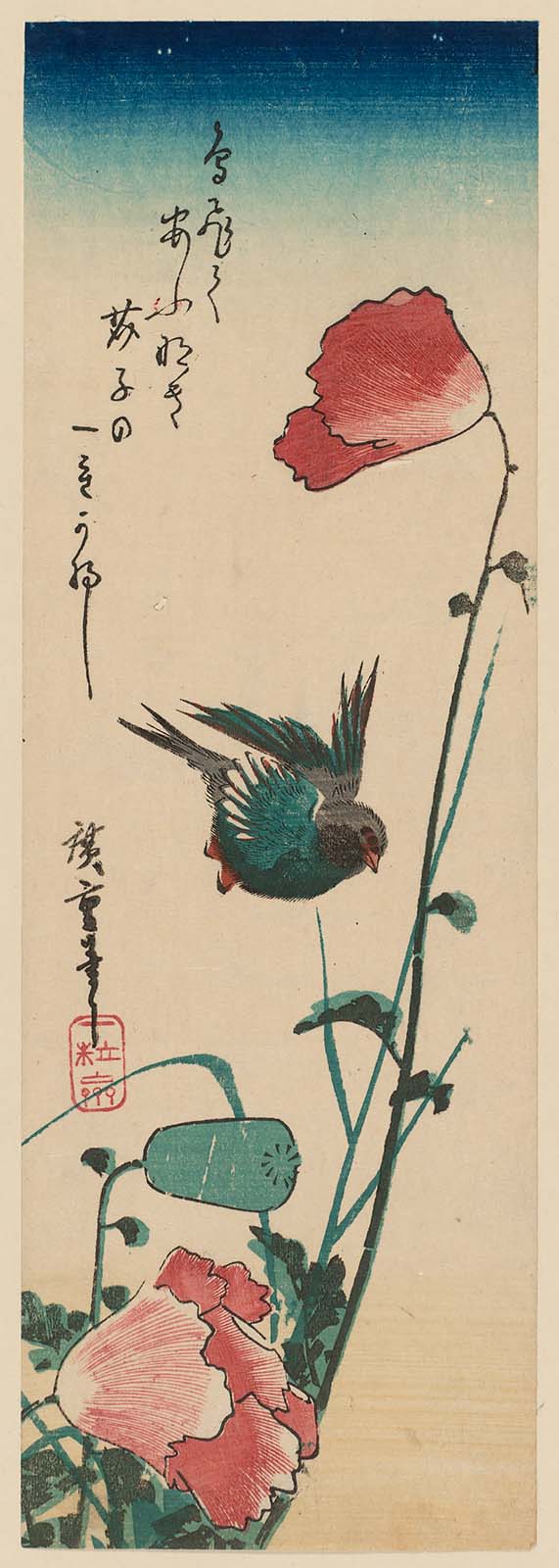 Hiroshiges - Swallow and Poppy - Chū-tanzaku Format